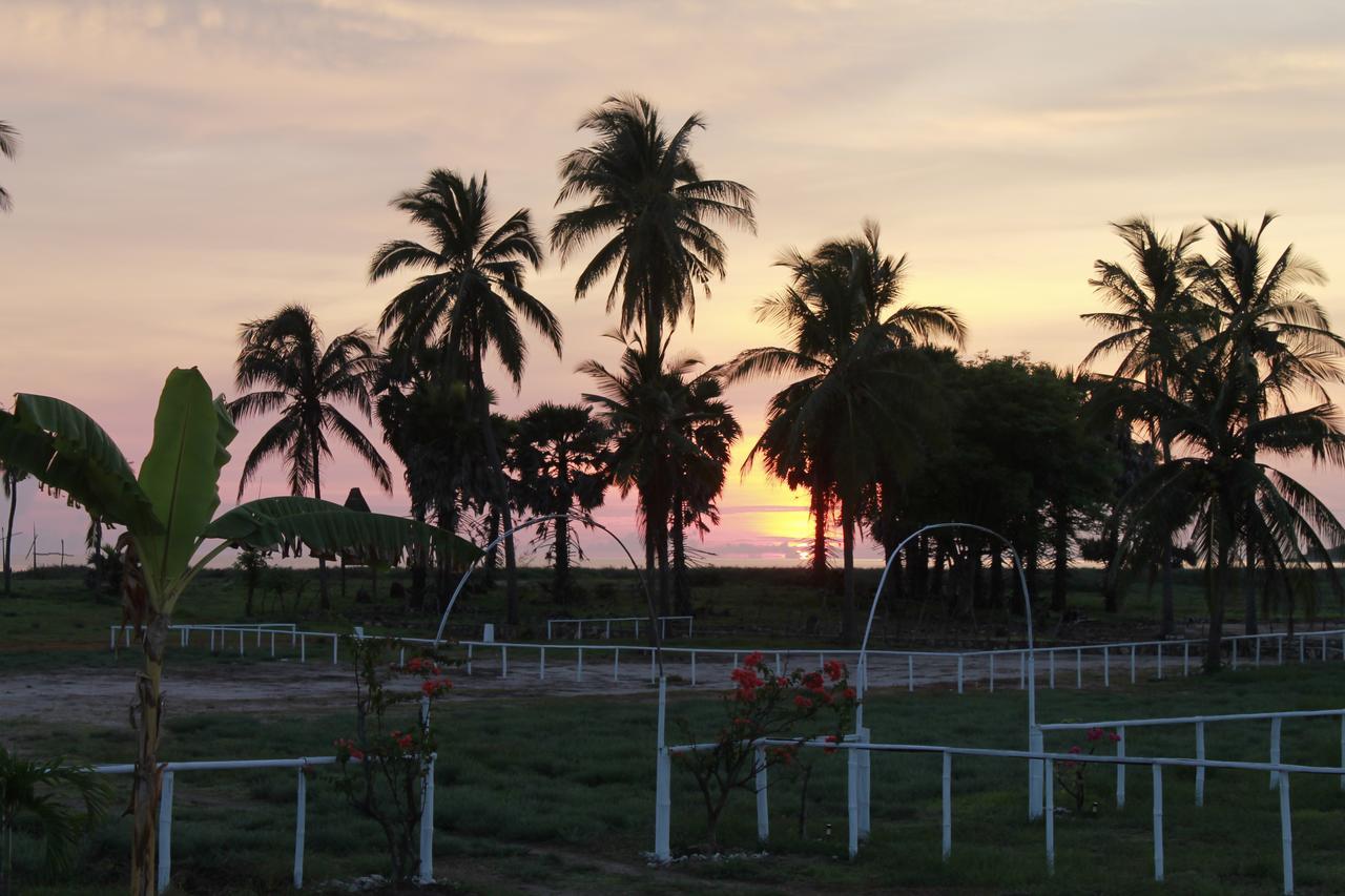 Wera Beach Kadumbul Экстерьер фото